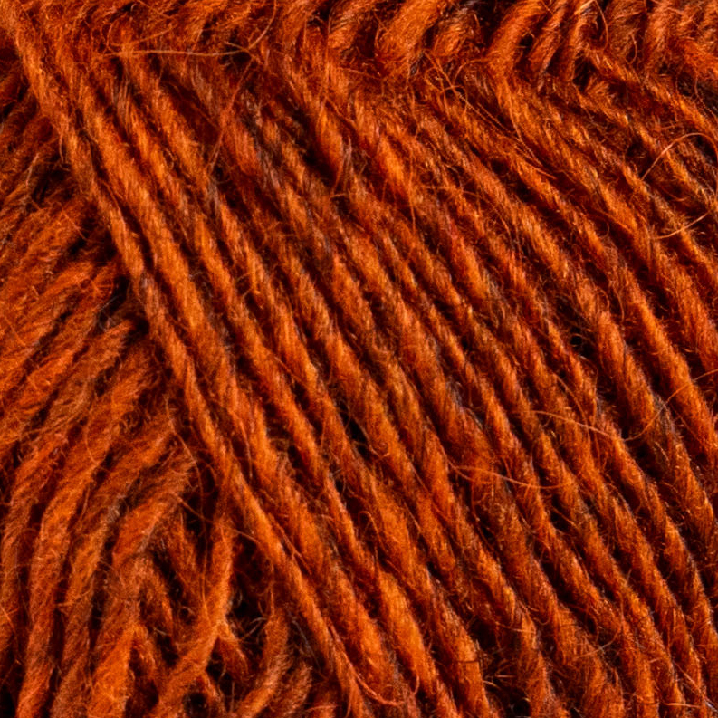 Fjallalopi - Ginger - 2
