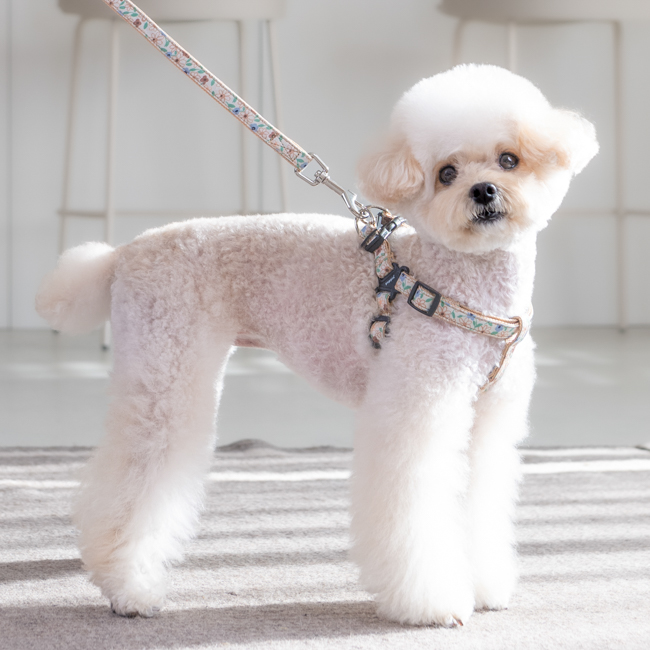 Puppia Lilac H-Sele Beige - 2