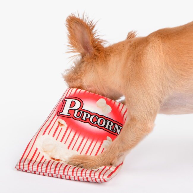 OLCHI Hundleksak Pupcorn - 6