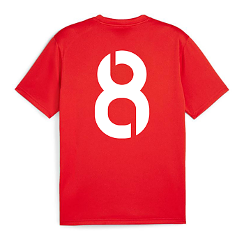 Puma Teamgoal Jersey Jr Jersey (Markaryd IF)