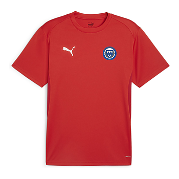 Puma Teamgoal Jersey Jr Jersey (Markaryd IF)