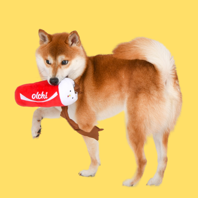OLCHI Hundleksak Fivedogs Drink - 6