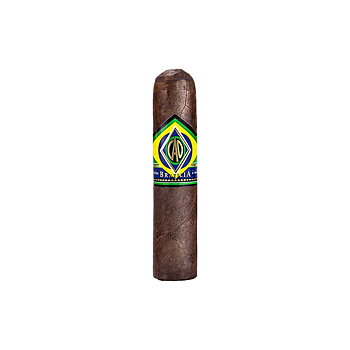 CAO Brazilia Corcovado