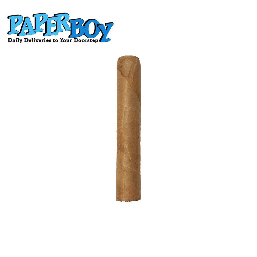Paper Boy Connecticut Petit Corona - 2