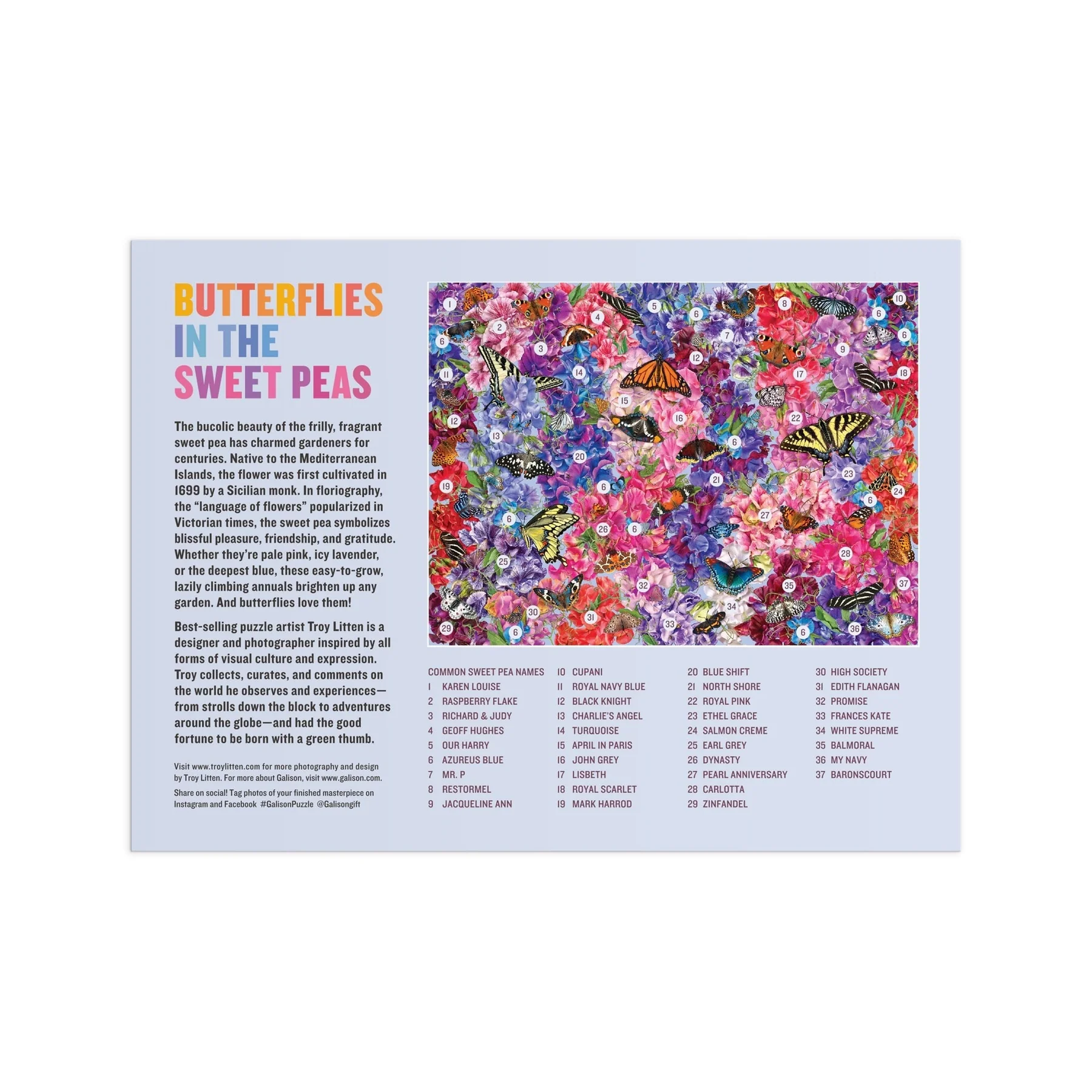 Butterflies In the Sweet Peas 1000 Piece Puzzle - 5