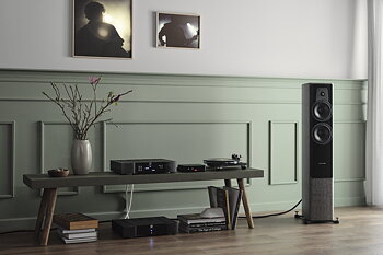 Dynaudio Contour 30i