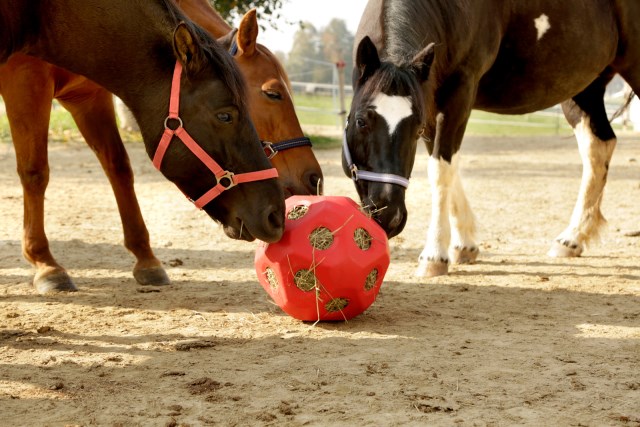 Kerbl Höboll - Lek