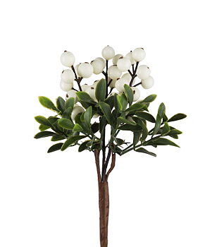 Bärkvist Vit Mr Plant