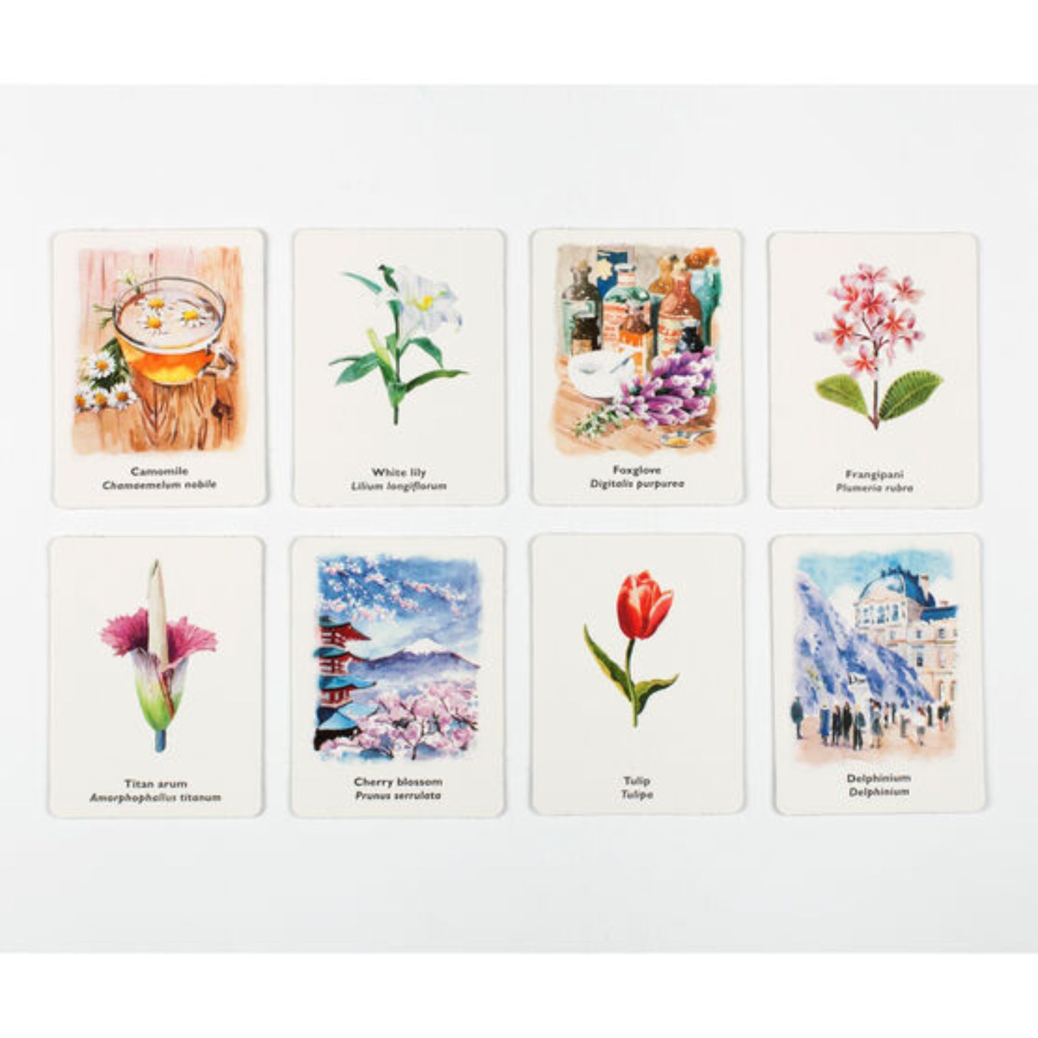 Pick a Flower: A  Memory Game - 3