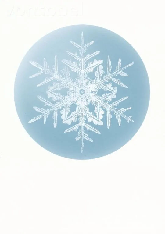 Stellar Snowflake, Postcard