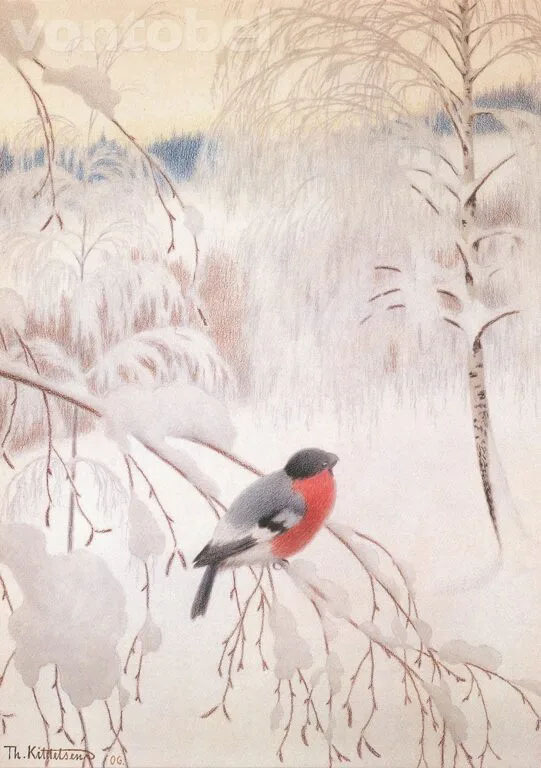 Bullfinch on an Icy Branch, Postcard