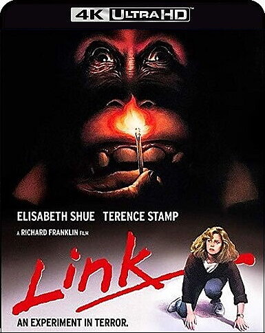 Link (BLU-RAY 4K ULTRA HD + BLU-RAY)