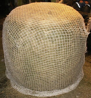 Rundbalsnät Standard original Låg