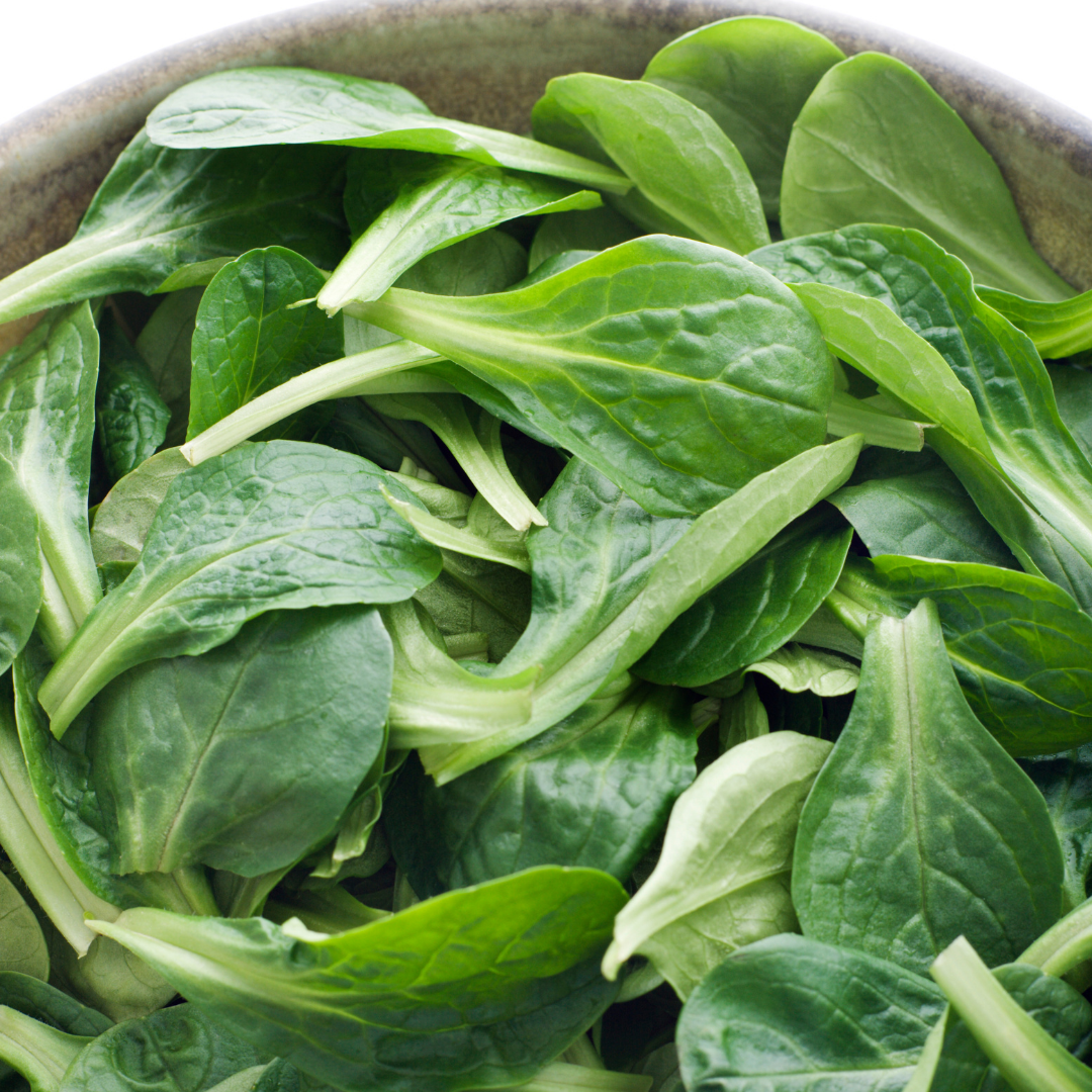 Machésallat - Coquille de Louviers