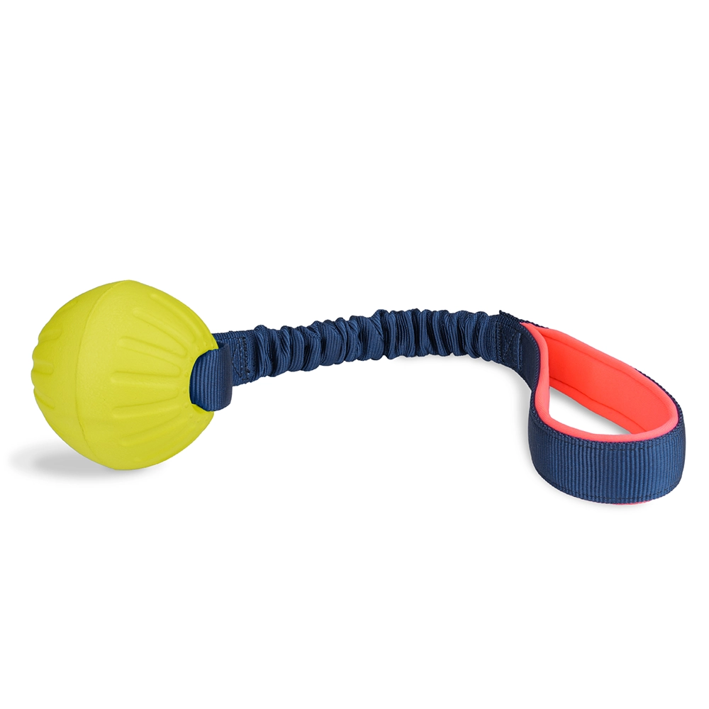 Coachi tuggi ball Company of animal dog toy