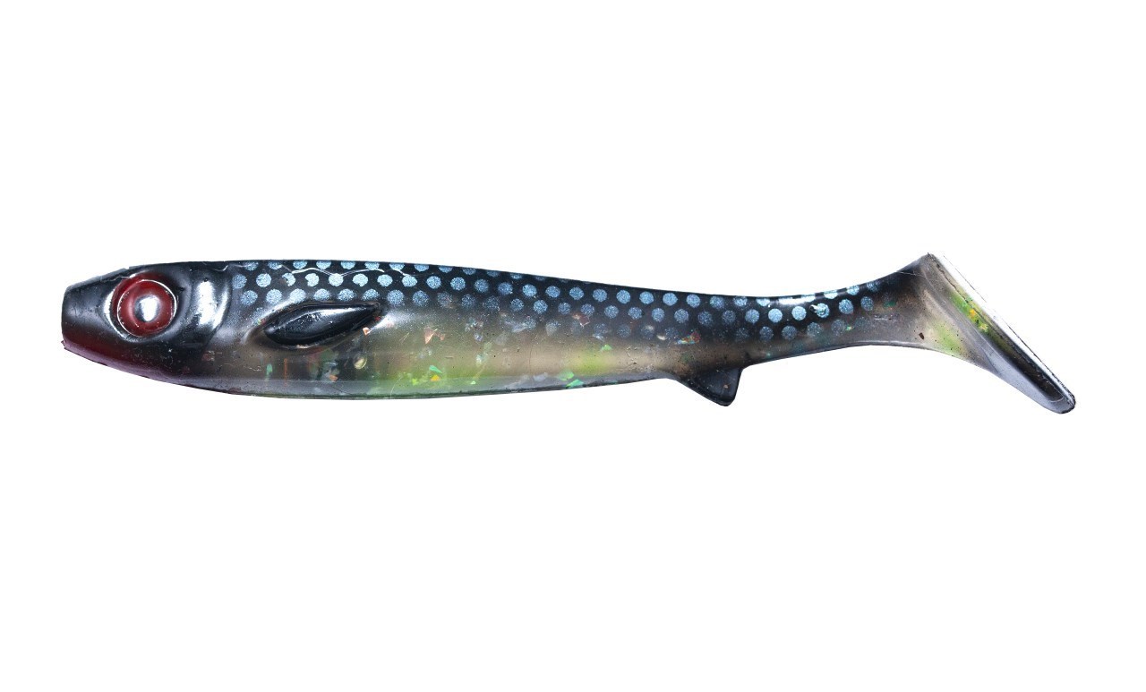 Flatnose Shad Jr 15cm 2-pack - 5