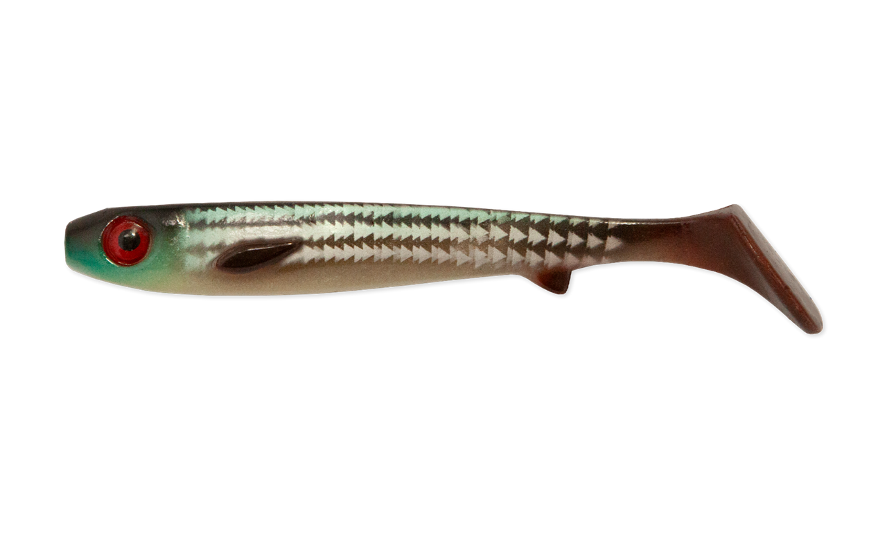 Flatnose Shad Jr 15cm 2-pack - 4