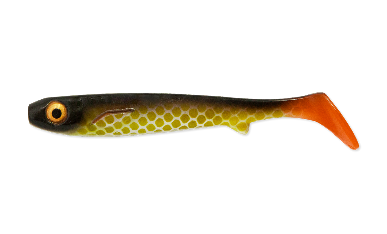 Flatnose Shad Jr 15cm 2-pack - 3