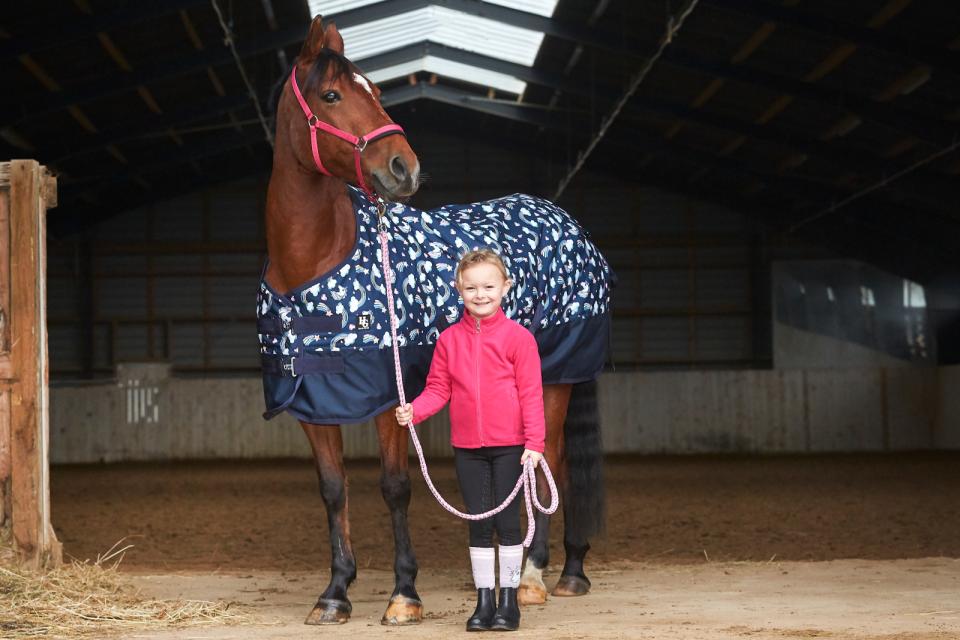 HG Josh Pony turnout 600D  100gr