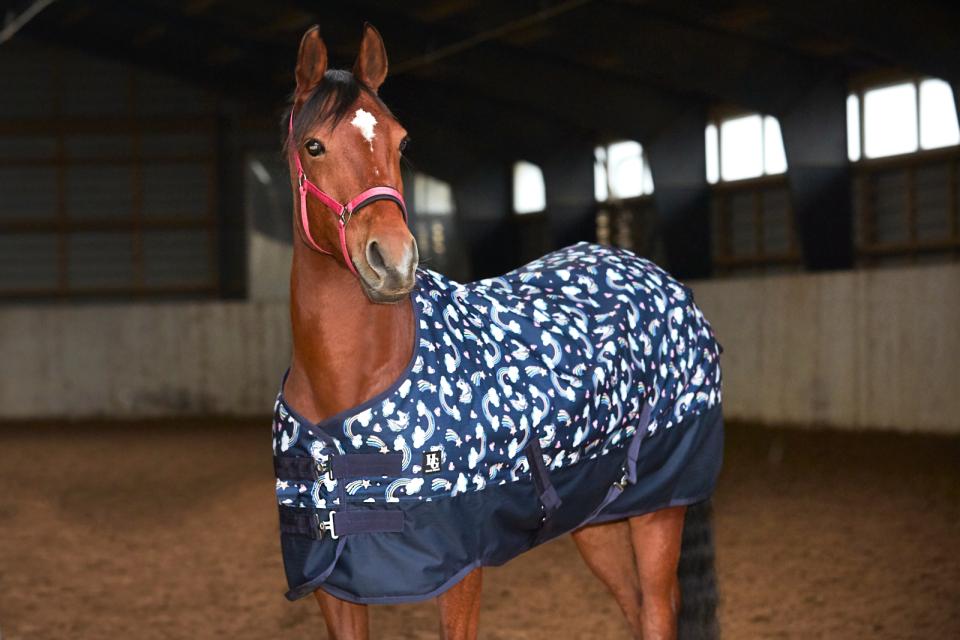 HG Josh Pony turnout 600D  100gr