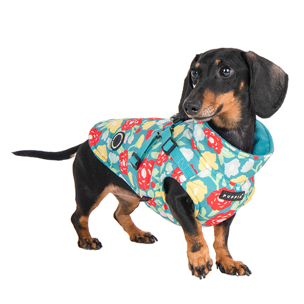 Puppia Täcke Alyssa Aqua Blå - 6