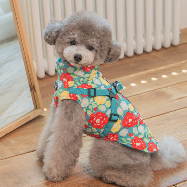 Puppia Täcke Alyssa Aqua Blå - 7
