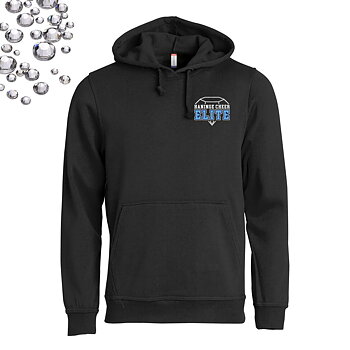 College  Hoody, unisex | Rhinestones