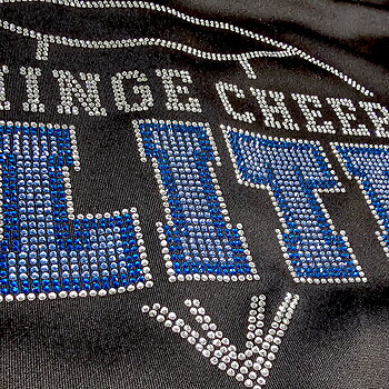 College  Hoody Full Zip, unisex | Rhinestones