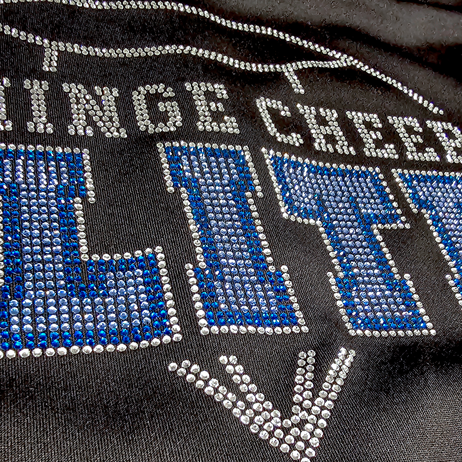 College  Hoody Full Zip, barn | Rhinestones - 2
