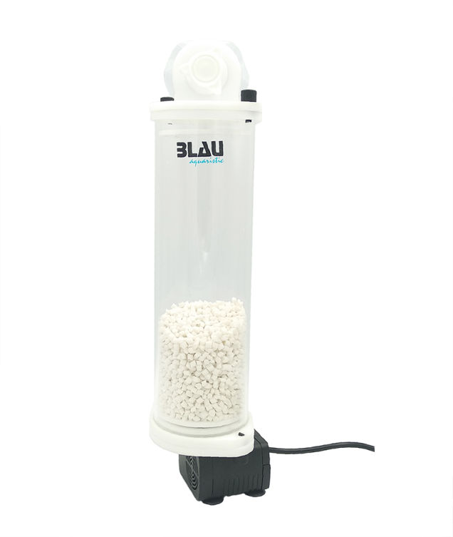 Blau media reaktor - 2