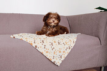 Trixie Lingo Filt 75x50cm Vit/Beige