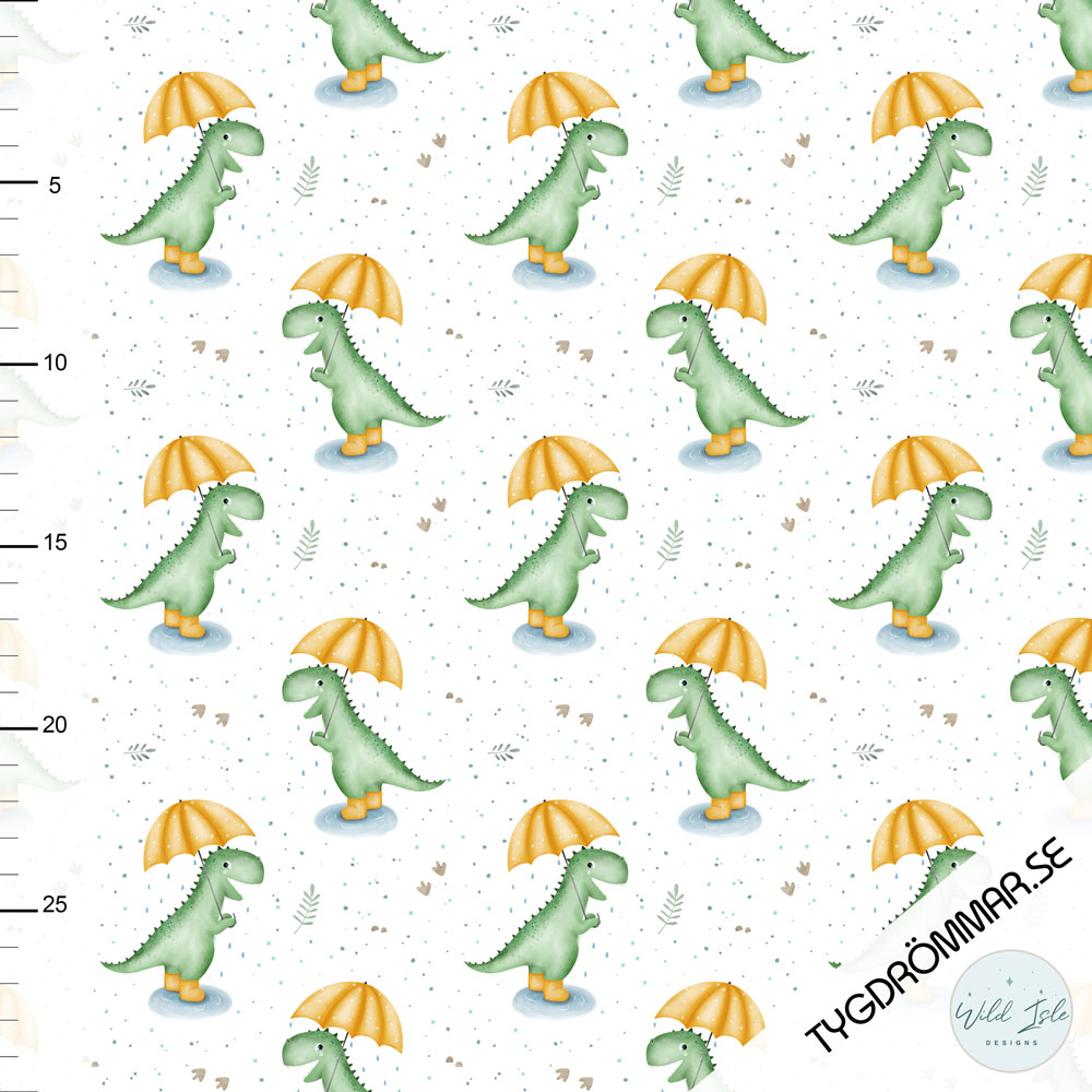 RAINY DINO
