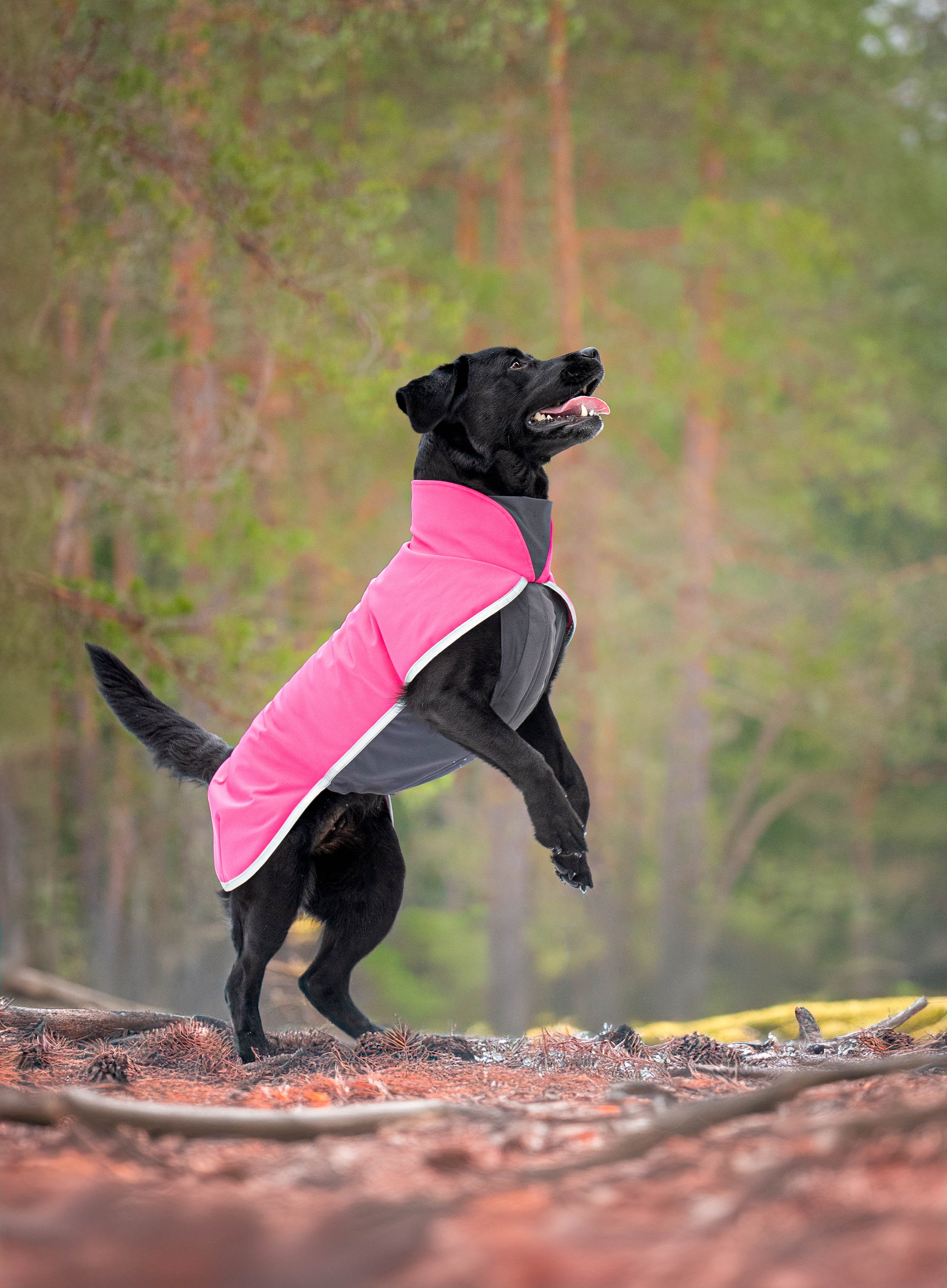 SporttiPomppa - Pink  - 2
