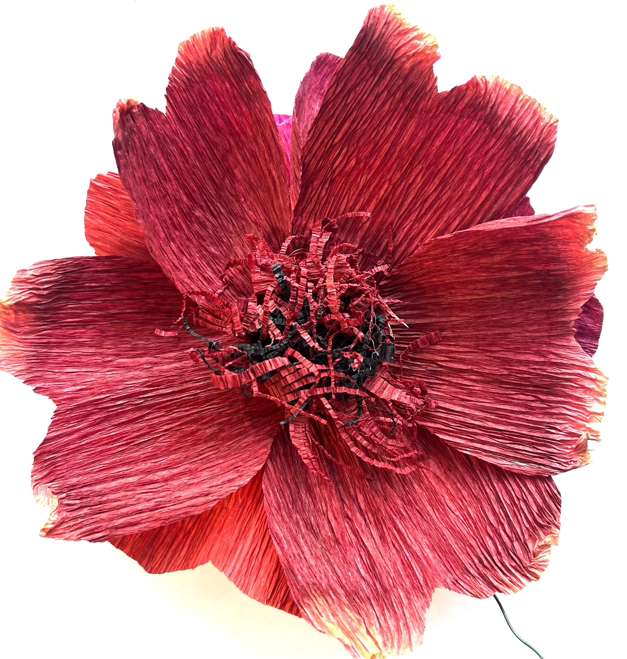Bild på hibiskus som pappersblomma