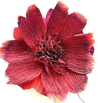 Bild på hibiskus som pappersblomma