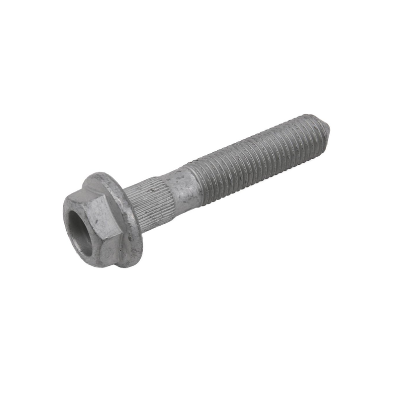 Bult M12x65 - 2