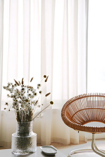 Gardin Olivia dubbel bredd Natur Höjd 250 cm