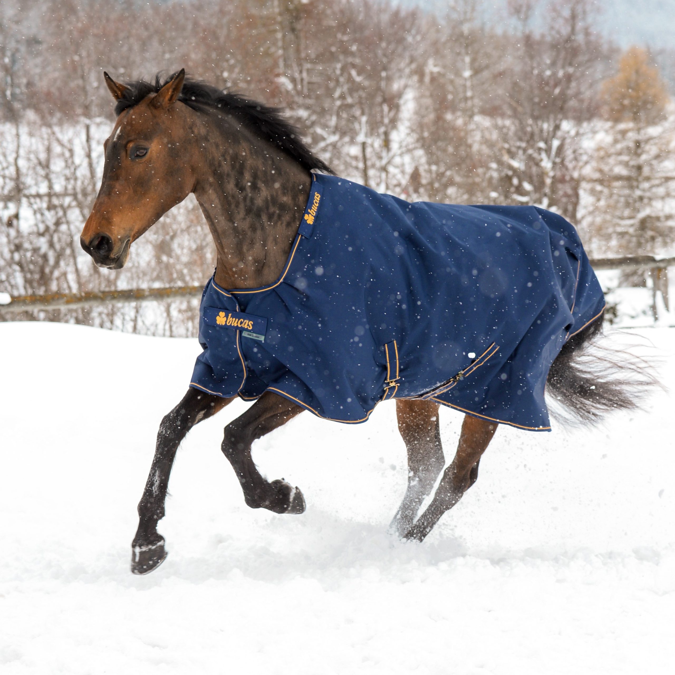Bucas Irish Turnout 150 g Horse Rug - Navy/Gold 
