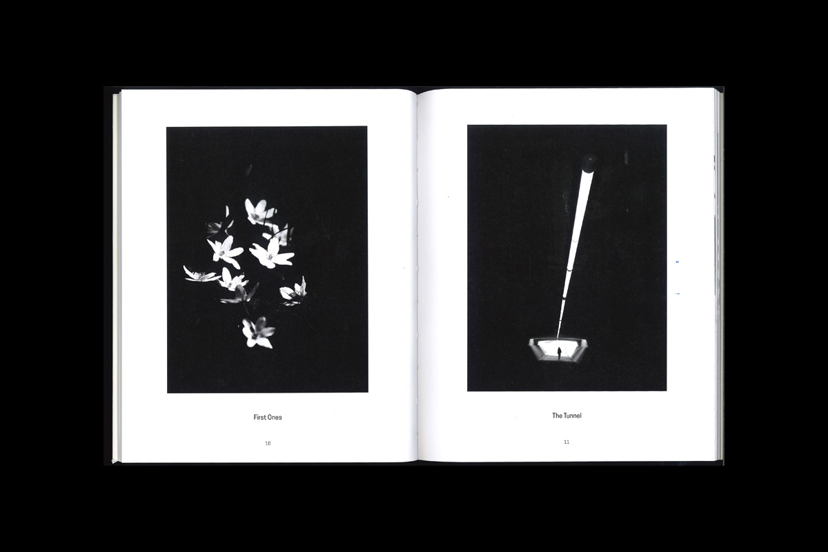 Susanne Kraft: Shadow Play [signed] - 2