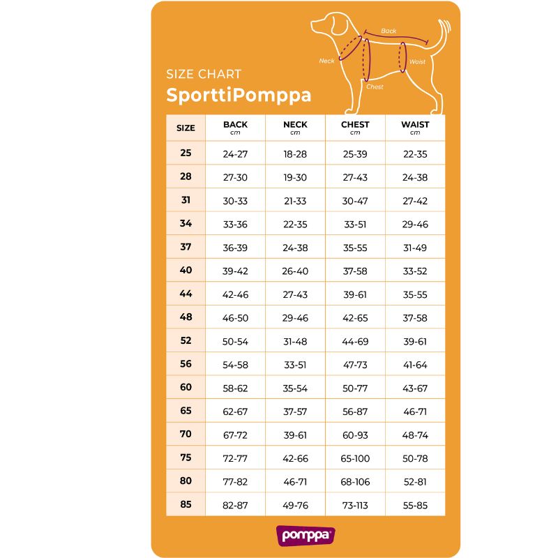 SporttiPomppa - Arctic st 31 cm - 4