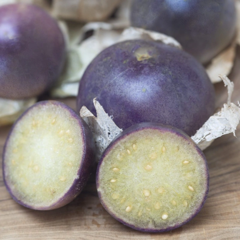 Tomatillo 'Purple de Milpa'