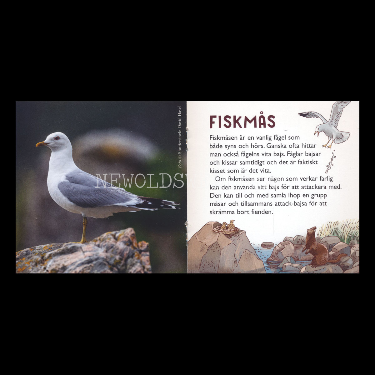 DJUREN BAJSAR -  VÄRLDSNATURFONDEN WWF pixiböcker - P06 - 2