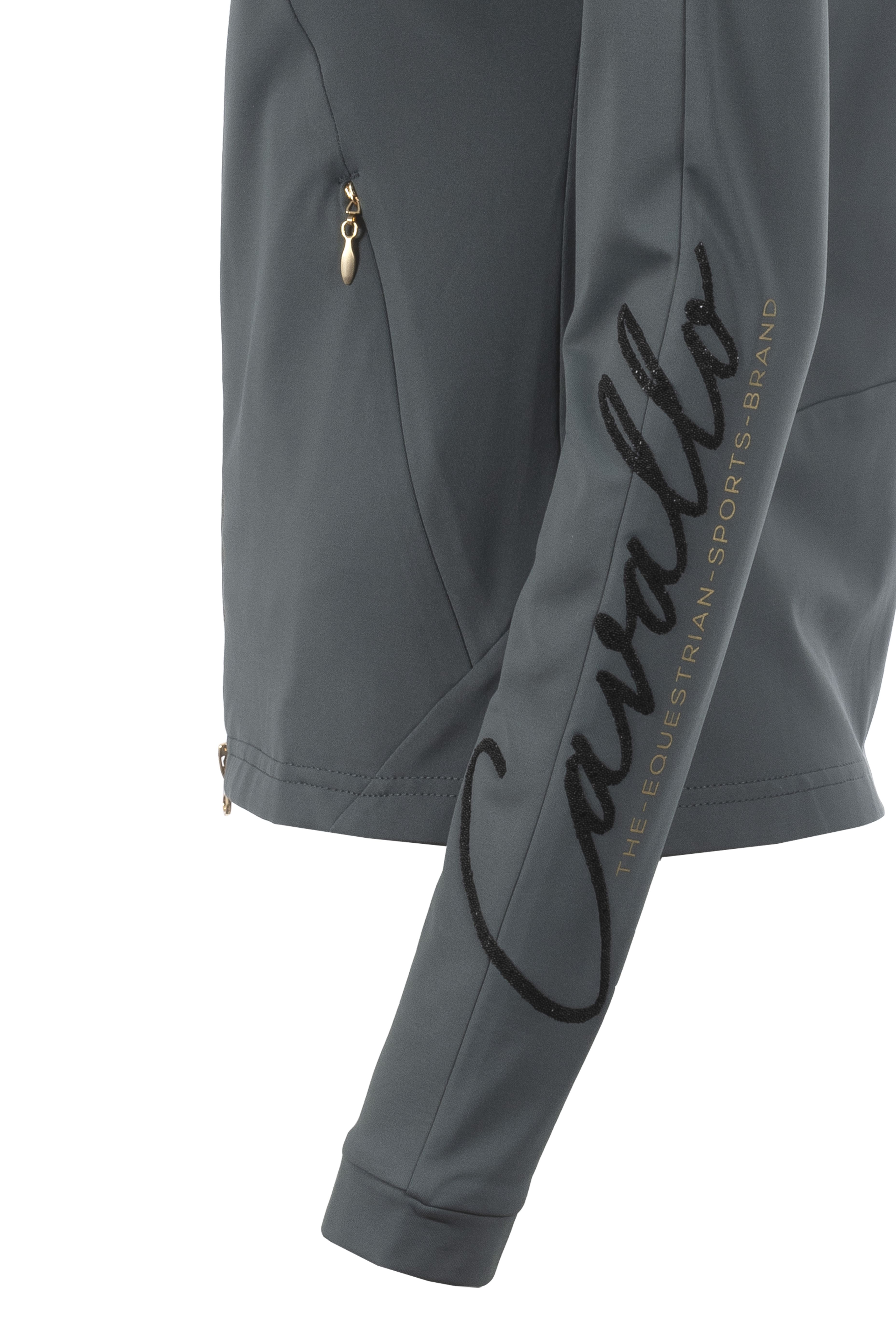 CAVALMADDIE Stand-Up Collar Jacket - Silver Pine - Functional 