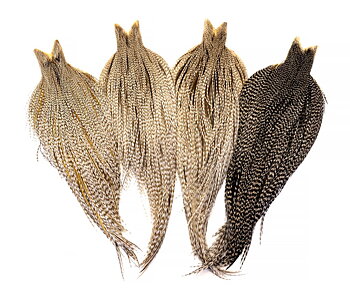 Whiting Heritage Hackle Cape 