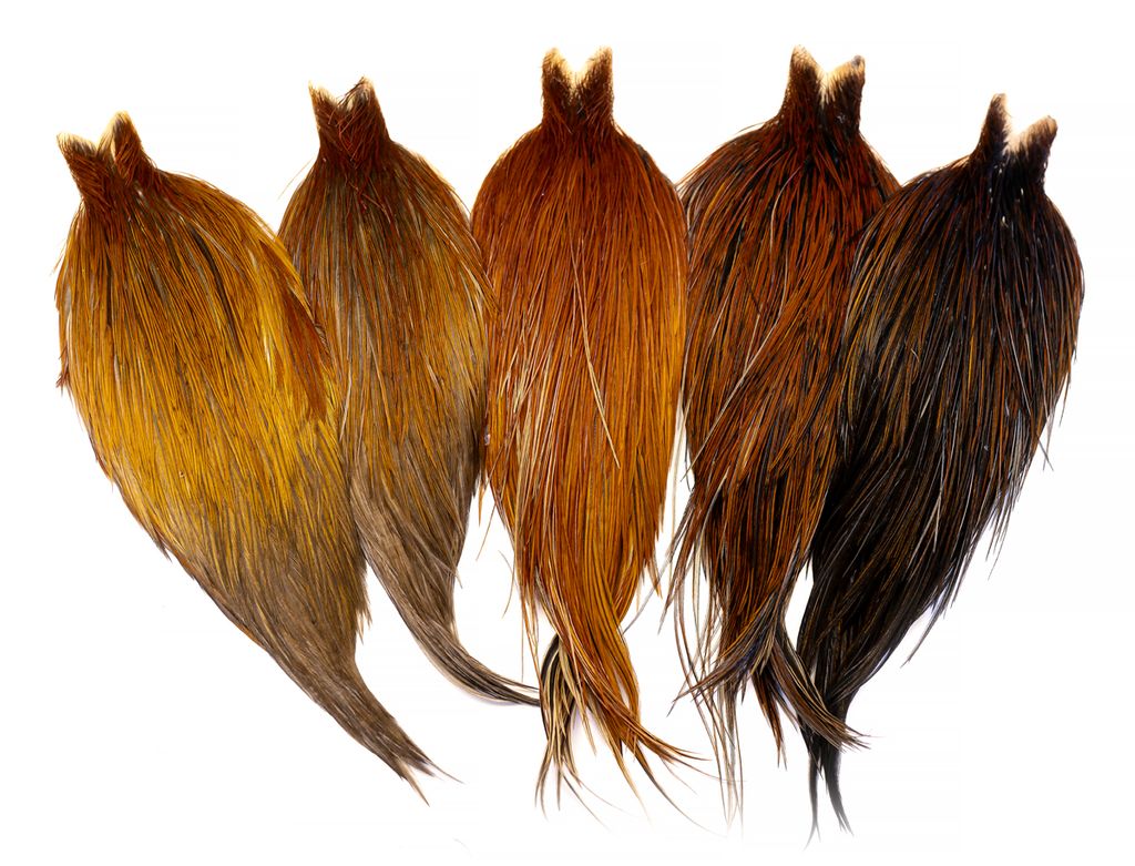 Whiting Heritage Hackle Cape  - 3