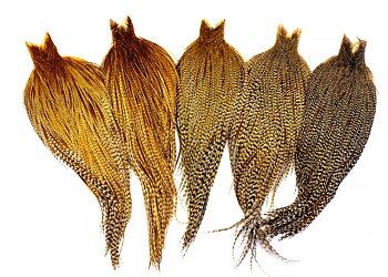 Whiting Heritage Hackle Cape 