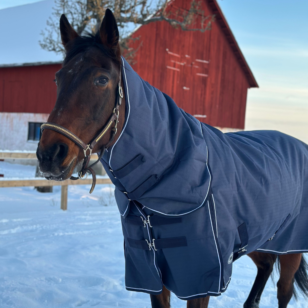 SWEDISH COLLECTION (LIPPO) 300GR OUTDOOR BLANKET 2100D WITH REMOVABLE NECK - 5