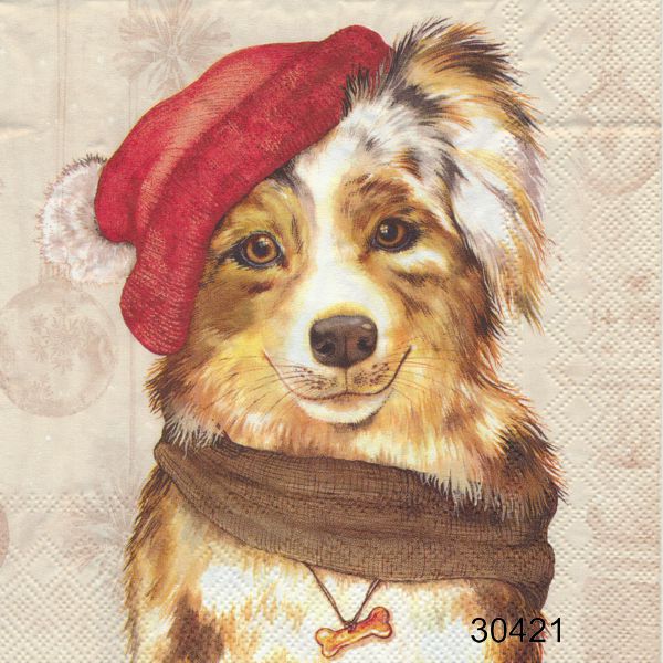 Hund i tomteluva