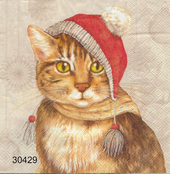 Katt med tomteluva