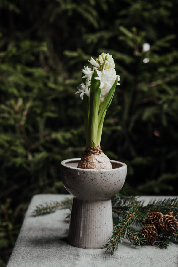 HYACINTVAS LITEN - NATUR/PRICKIG - 4